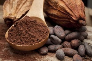 cose da vedere e fare a samana: ruta del cacao