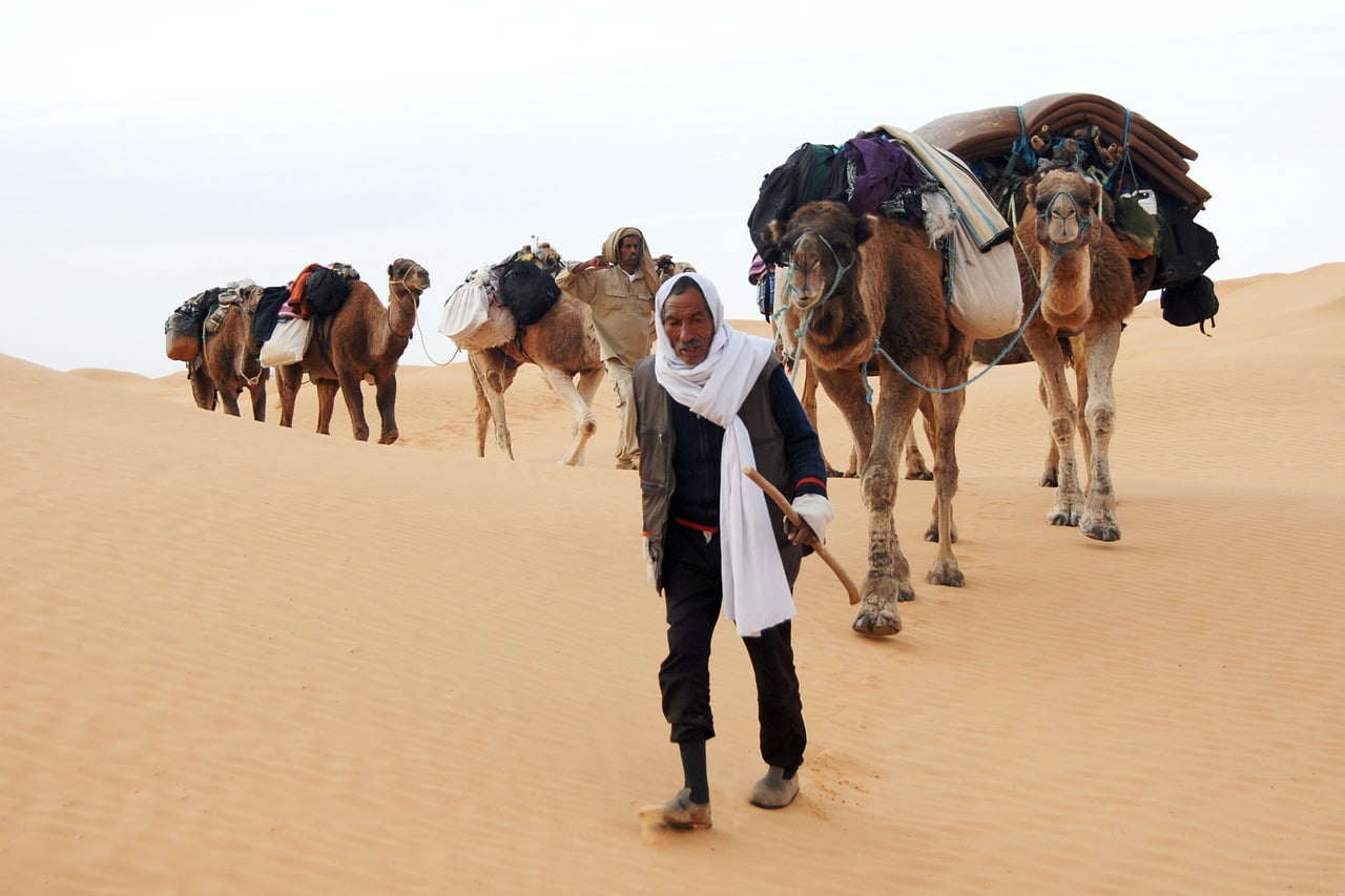 motivi per fare un viaggio nel deserto tunisino